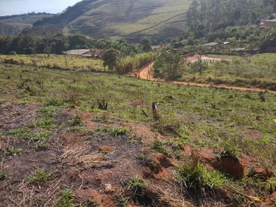 Fazenda / Sítio / Chácara com 1 Quarto à venda, 3500m² no Área Rural de Viçosa, Viçosa