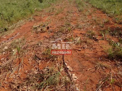 Fazenda / Sítio / Chácara à venda, 1050m² no , Ponte Alta do Tocantins
