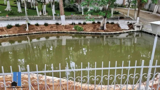 Fazenda / Sítio / Chácara com 3 Quartos à venda, 4900m² no Jardim Pinheirinho, Embu das Artes