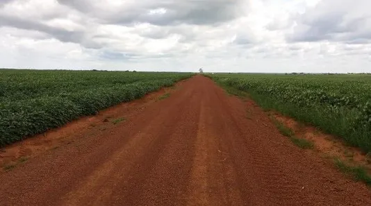 Fazenda / Sítio / Chácara à venda, 45300m² no , Divinópolis do Tocantins