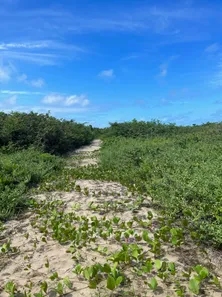 Terreno / Lote / Condomínio à venda, 46000m² no , Barra de Santo Antônio