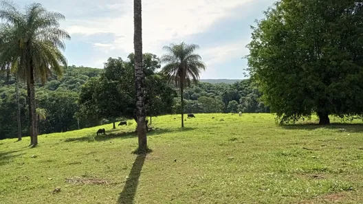 Fazenda / Sítio / Chácara à venda, 280000m² no Setor Bosque, Formosa