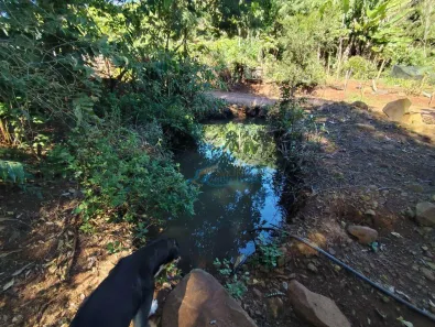 Fazenda / Sítio / Chácara à venda, 150m² no , Guaraniaçu