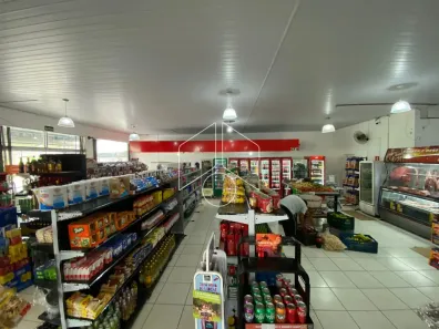 Galpão / Depósito / Armazém à venda, 390m² no Jardim Nazareth, Marília