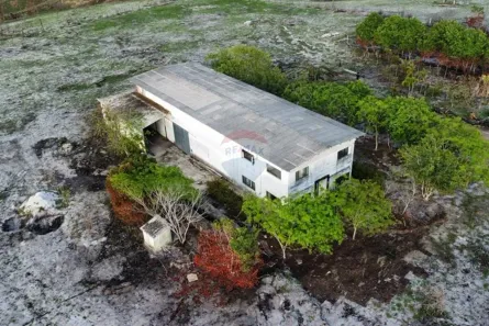 Galpão / Depósito / Armazém com 3 Quartos à venda, 750m² no Pedras de Fogo, Pedras de Fogo