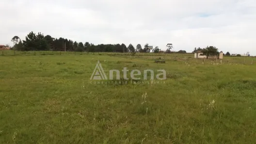 Terreno / Lote / Condomínio para alugar, 2000m² no Quississana, São José dos Pinhais