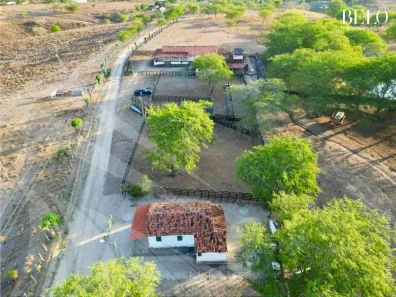Fazenda / Sítio / Chácara com 4 Quartos à venda, 2950000m² no , Passira