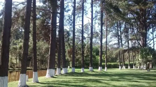 Fazenda / Sítio / Chácara com 3 Quartos à venda, 350m² no Barrinha, São Lourenço da Serra
