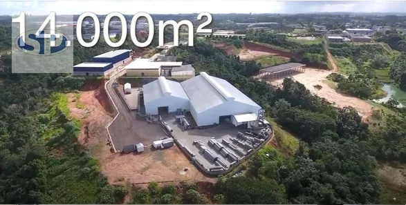 Galpão / Depósito / Armazém à venda, 4500m² no Cia Sul, Simões Filho