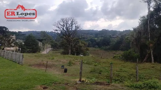 Fazenda / Sítio / Chácara com 2 Quartos à venda, 33445m² no Santa Gema, Colombo