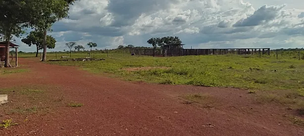 Fazenda / Sítio / Chácara à venda, 320m² no , Pedro Afonso