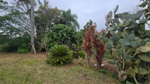 Fazenda / Sítio / Chácara com 4 Quartos para alugar, 200m² no Chácaras Ceres, Suzano