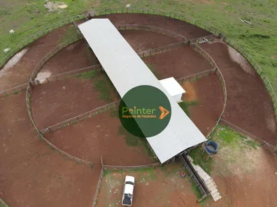 Fazenda / Sítio / Chácara com 3 Quartos à venda, 49029200m² no , Lagoa da Confusão