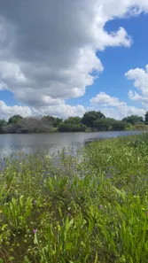 Fazenda / Sítio / Chácara à venda, 4500000m² no zona rural, Ielmo Marinho
