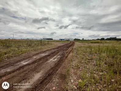 Terreno / Lote / Condomínio para alugar, 30816m² no Ipê, São José dos Pinhais