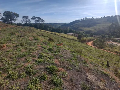 Fazenda / Sítio / Chácara com 1 Quarto à venda, 3500m² no Área Rural de Viçosa, Viçosa