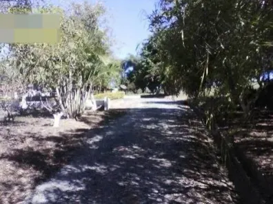 Fazenda / Sítio / Chácara com 5 Quartos para venda ou aluguel, 250m² no Campo Largo, Salto de Pirapora