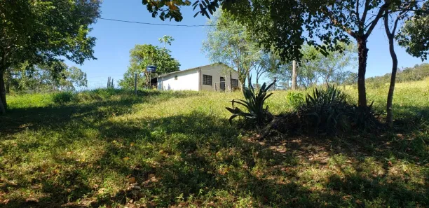 Fazenda / Sítio / Chácara com 4 Quartos à venda, 550000m² no Padre Bernardo, Padre Bernardo