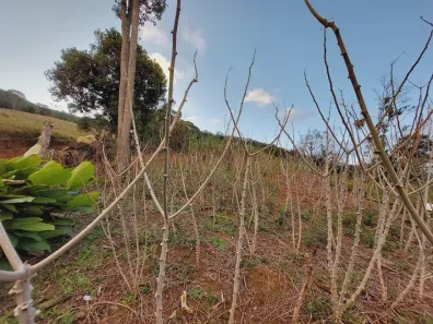 Fazenda / Sítio / Chácara com 2 Quartos à venda, 3000m² no , Águas Mornas