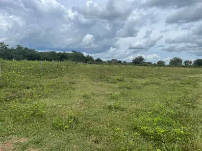 Fazenda / Sítio / Chácara com 3 Quartos à venda, 12899920m² no Setor Central, Divinópolis do Tocantins