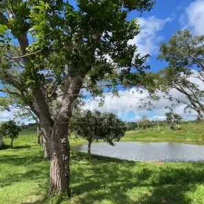 Fazenda / Sítio / Chácara com 5 Quartos à venda, 225000m² no Área Rural de Caruaru, Caruaru