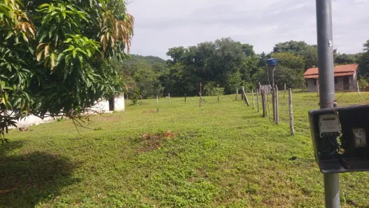 Fazenda / Sítio / Chácara à venda, 1m² no , Paranã