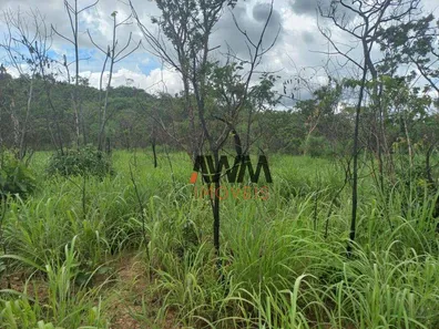 Fazenda / Sítio / Chácara à venda, 48400000m² no Área Rural de Gurupi, Gurupi