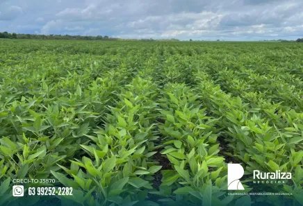 Fazenda / Sítio / Chácara à venda, 484m² no , Lagoa da Confusão