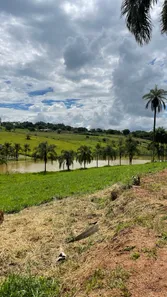 Terreno / Lote / Condomínio à venda, 1000m² no Jardim das Palmeiras, Capim Branco
