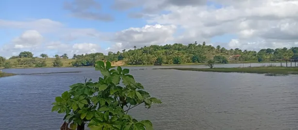 Fazenda / Sítio / Chácara com 3 Quartos à venda, 2900m² no , Mata de São João