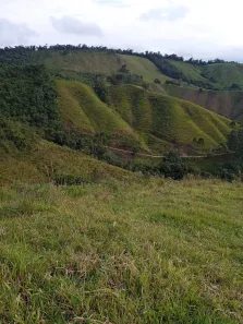 Fazenda / Sítio / Chácara à venda, 16940000m² no , Rio Branco do Sul