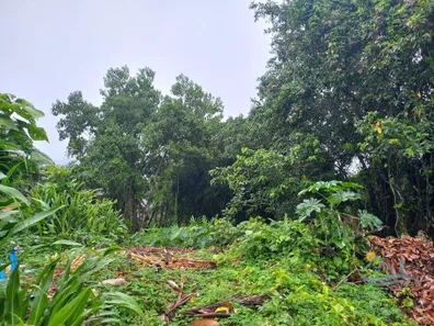Terreno / Lote / Condomínio à venda, 2340m² no Camburi, São Sebastião
