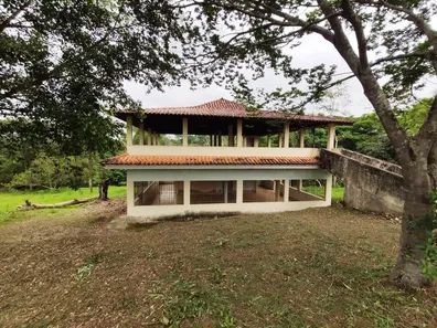 Fazenda / Sítio / Chácara com 17 Quartos à venda, 11000m² no Vale das Pedrinhas, Guapimirim