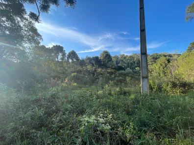 Fazenda / Sítio / Chácara à venda, 5500m² no Pacotuba, Almirante Tamandaré