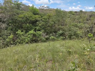 Fazenda / Sítio / Chácara à venda, 12000m² no Conjunto Habitacional Conceição Gomes Rabelo, Santo Antônio do Descoberto