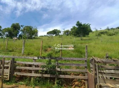 Fazenda / Sítio / Chácara com 2 Quartos à venda, 110m² no Jardim Colinas, Jacareí