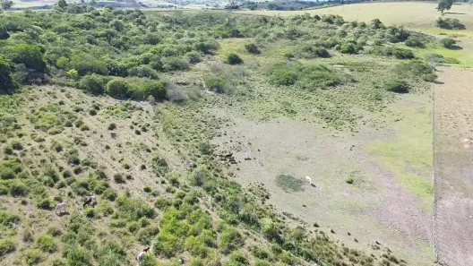 Fazenda / Sítio / Chácara à venda, 140000m² no , Sairé