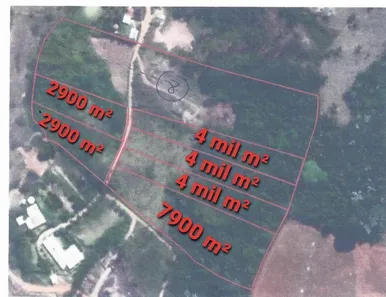 Fazenda / Sítio / Chácara com 1 Quarto à venda, 2900m² no Área Rural de Viçosa, Viçosa