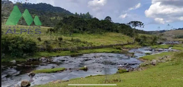 Fazenda / Sítio / Chácara com 7 Quartos à venda, 300m² no Campo Largo da Roseira, São José dos Pinhais