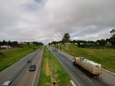 Galpão / Depósito / Armazém à venda, 10000m² no Costeira, São José dos Pinhais