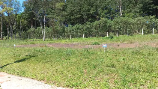 Terreno / Lote / Condomínio à venda, 384m² no Araçatuba, Campina Grande do Sul