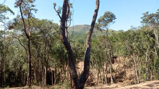 Terreno / Lote / Condomínio à venda, 1000m² no Saboó, São Roque