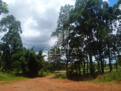 Fazenda / Sítio / Chácara com 3 Quartos à venda, 380m² no , Guaraniaçu