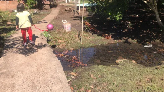 Fazenda / Sítio / Chácara com 3 Quartos à venda, 250m² no , Terenos