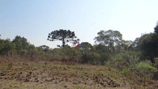 Galpão / Depósito / Armazém à venda, 84000m² no São Silvestre (Campo Largo), Campo Largo