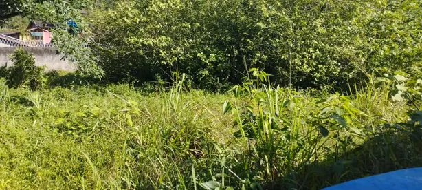 Terreno / Lote / Condomínio à venda no Boiçucanga, São Sebastião