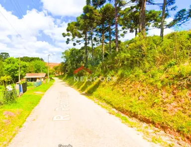 Fazenda / Sítio / Chácara com 3 Quartos à venda, 13800m² no Jardim das Acácias, Campo Largo