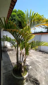 Casa com 2 Quartos para venda ou aluguel, 80m² no Pau Amarelo, Paulista