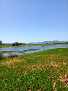 Fazenda / Sítio / Chácara à venda, 21000m² no Camobi, Santa Maria
