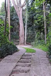 Fazenda / Sítio / Chácara com 3 Quartos para venda ou aluguel, 12000m² no Invernada, Embu das Artes